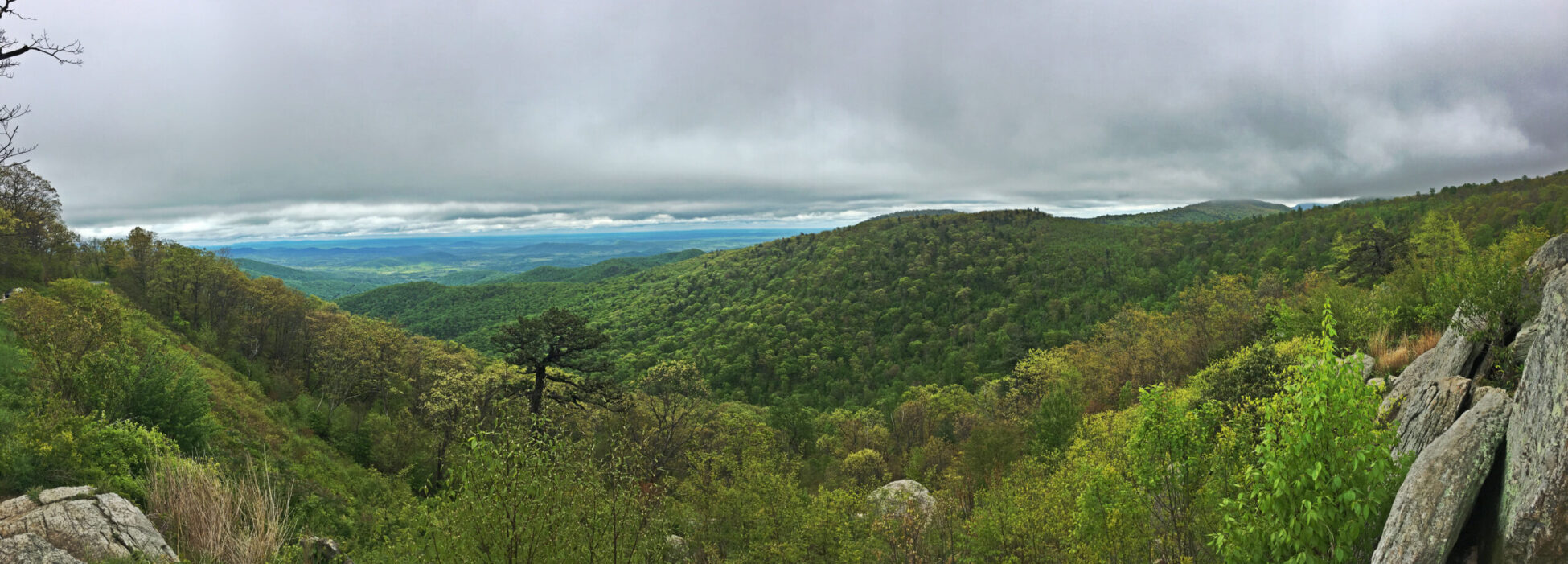 Panorama of the Blueridge Mountains from Skyline Drive